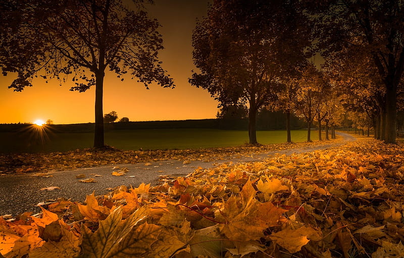 autumn idyll, autumn, nature, , idyll, HD wallpaper