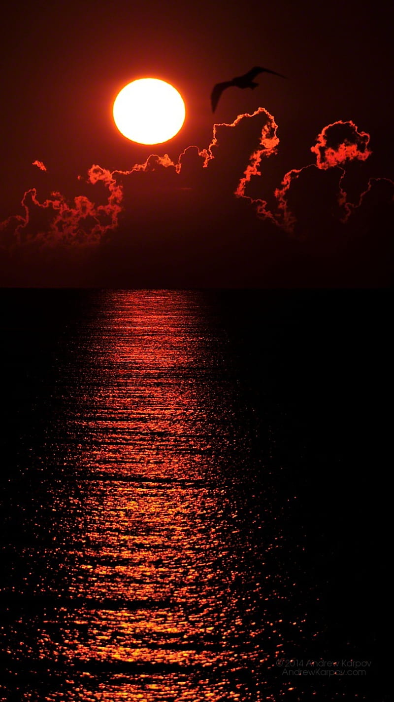 Red Sun, cloud, water, HD phone wallpaper