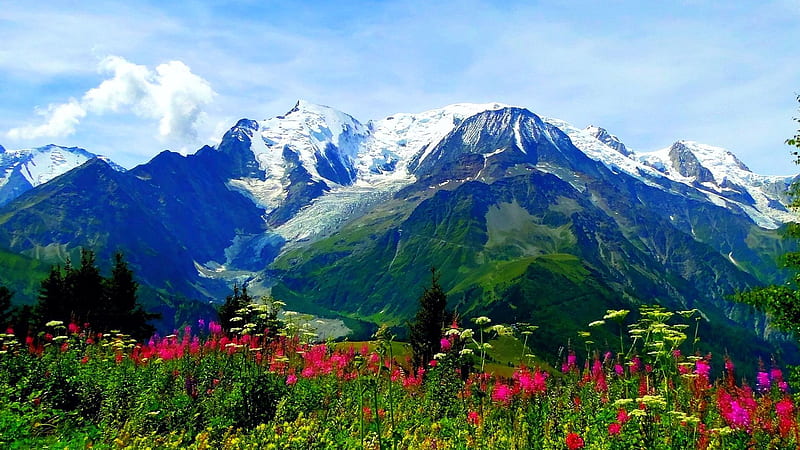 Valley Of Flowers National Park Trek In Uttarakhand, India, colors, blossoms, landscape, mountains, sky, HD wallpaper