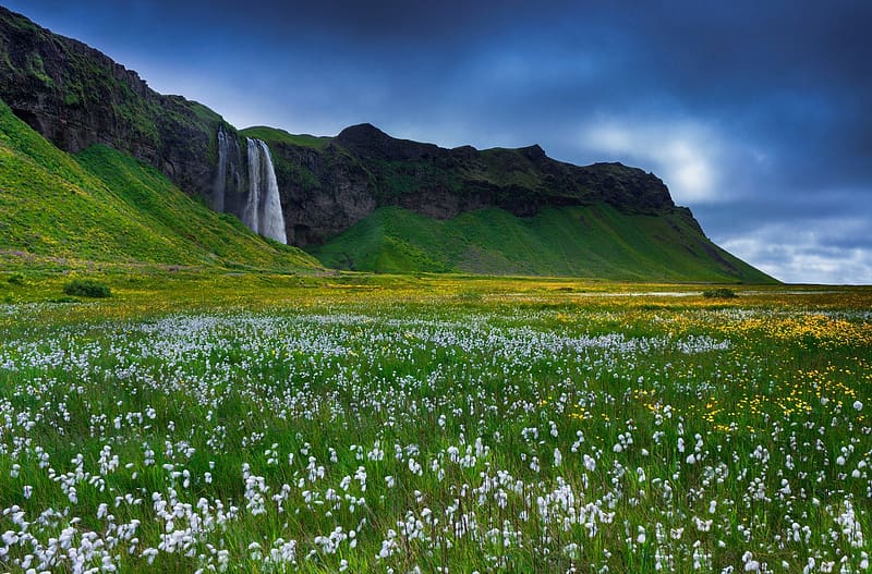 Waterfalls Mountain Flower Field Iceland Seljalandsfoss Hd
