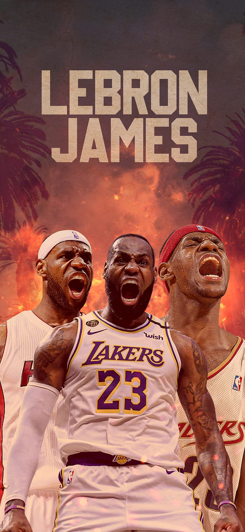 Lebron James, basketball, bulls, chicago, curry, golden state warriors,  lakers, HD phone wallpaper
