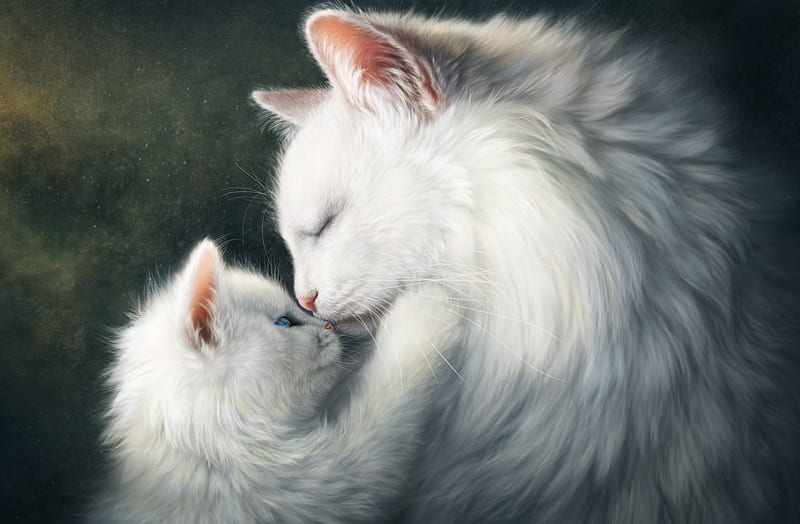 Mother and Kitten, child, white, mother, cats, animals, HD wallpaper