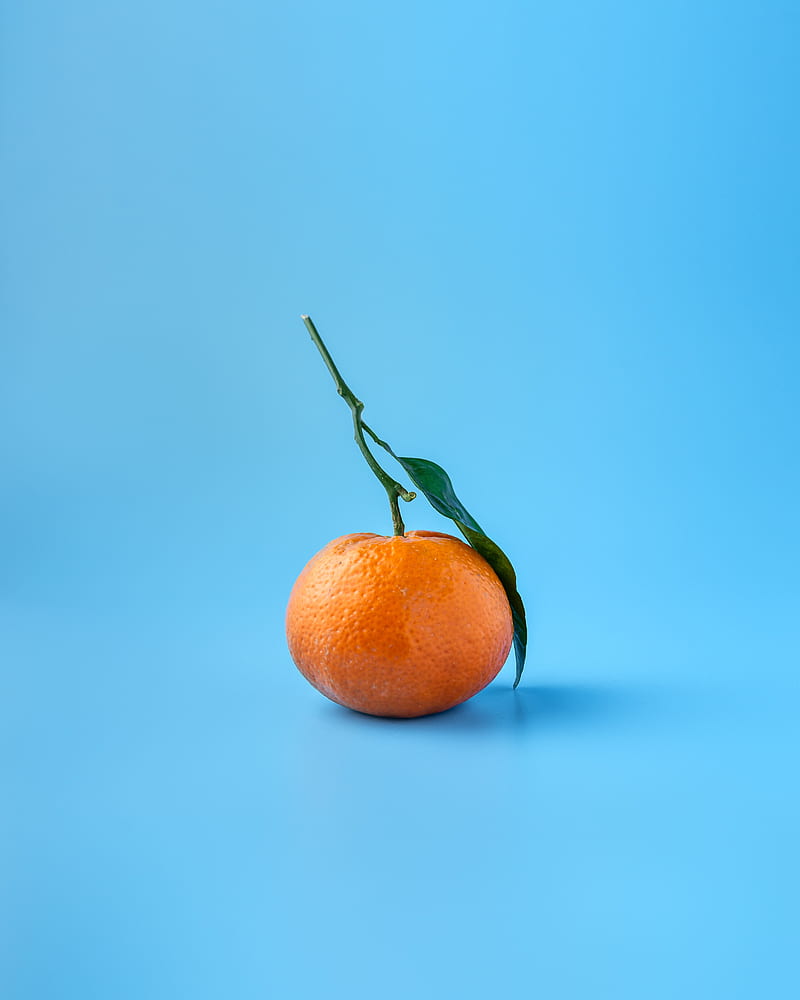 tangerine, fruit, citrus, orange, blue, HD phone wallpaper