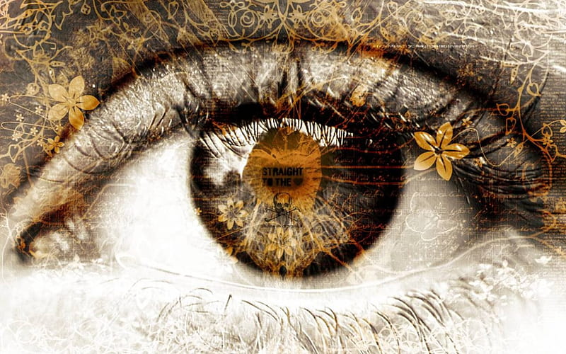 Eye Lashes, gold flowers, human eye, HD wallpaper