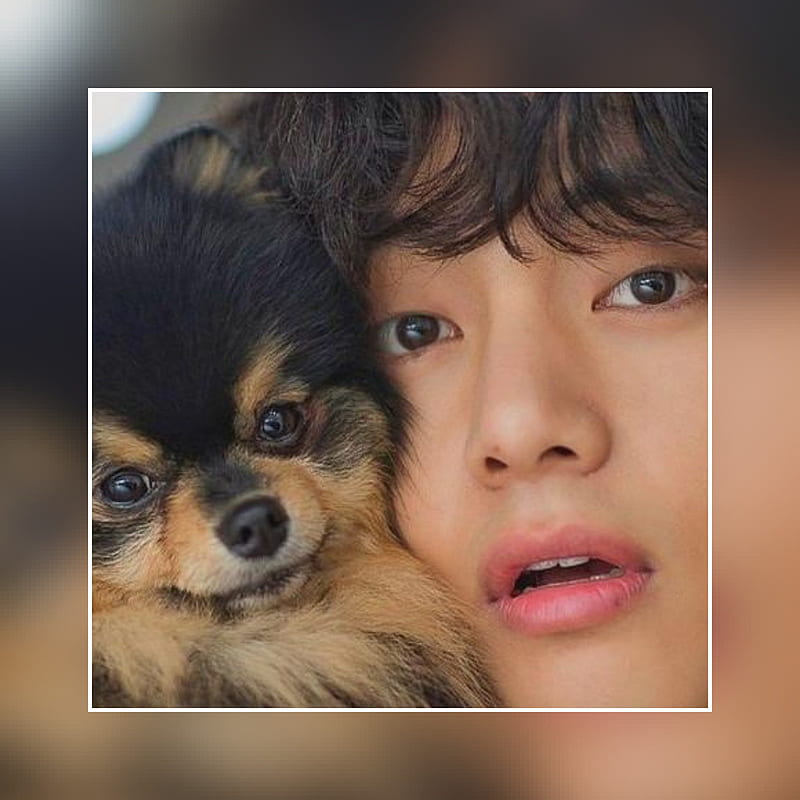 Bts V, bts, cute, dog, HD phone wallpaper