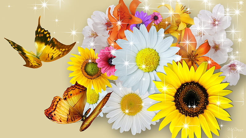Many Colors, colorful, stars, flowers, sunflower, firefox persona, butterflies, daisy, sparkles, HD wallpaper