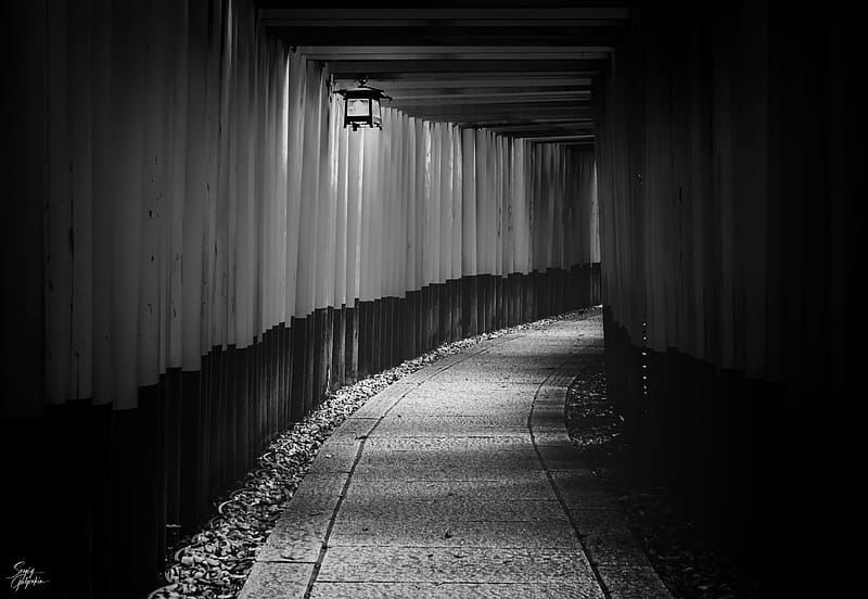 tunnel, gate, temple, japan, black and white, HD wallpaper
