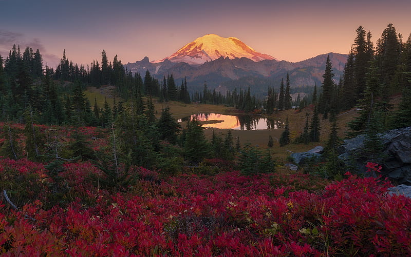 Mountains, Mount Rainier, HD wallpaper | Peakpx