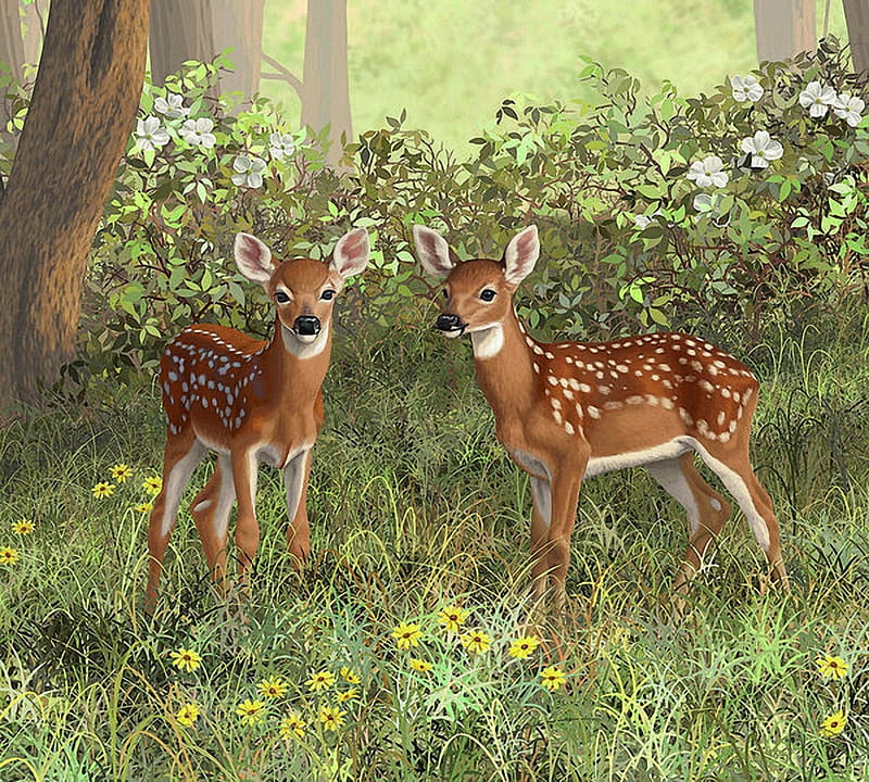 Two young Deers, summer, deers, paint, plants, young, HD wallpaper