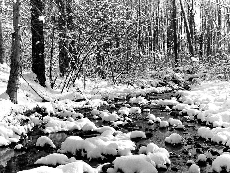 winter-scenes-1--22, stream, rocks, snow, white, trees, wayer, Winter, HD wallpaper