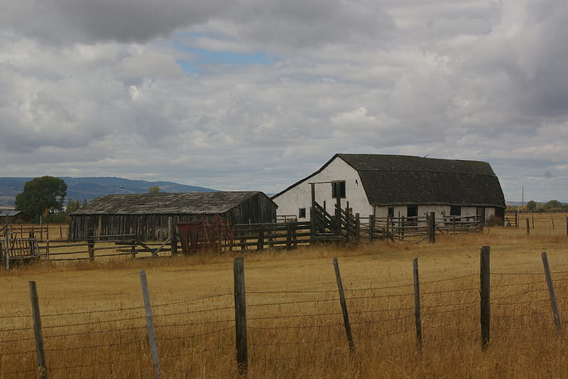 Old Barn, Teton Valley, Idaho, Farms, Homesteads, Barns, Scenic, Fields, HD wallpaper
