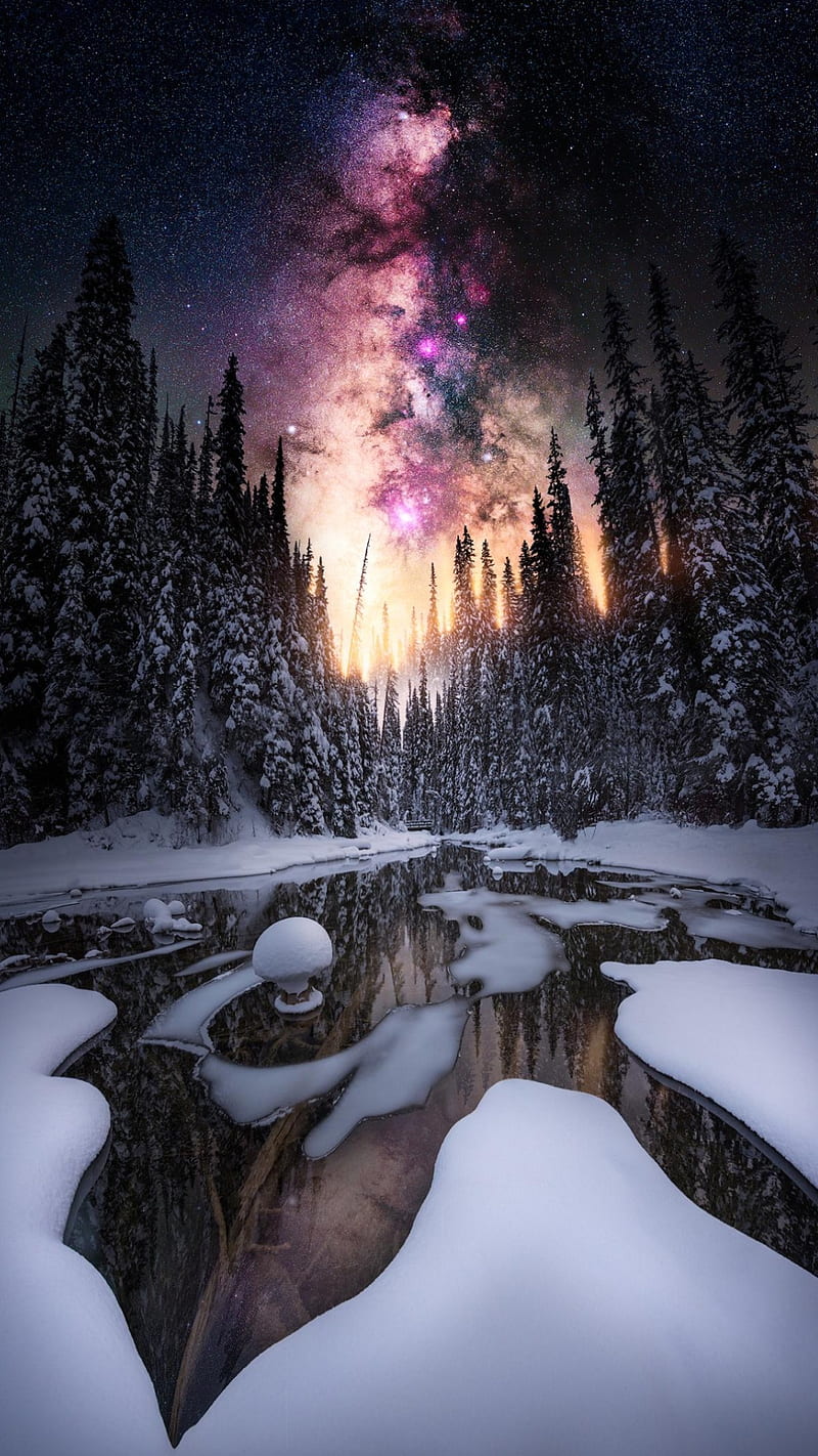 Nebula, cold weather, nature, snow, stars, trees, winter, winter is here, HD phone wallpaper