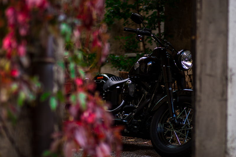 motorcycle, steering wheel, black, HD wallpaper