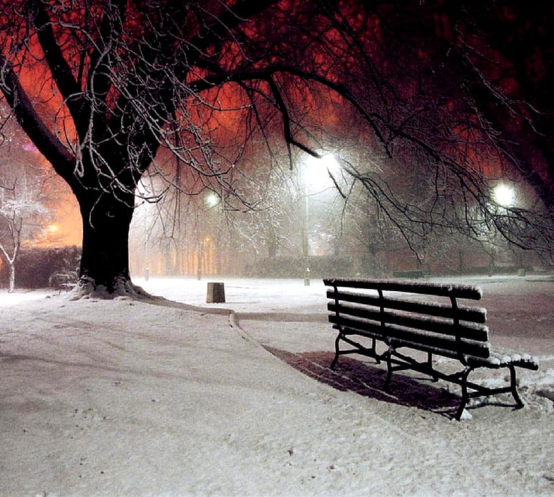 snow, night, park, bench, HD wallpaper