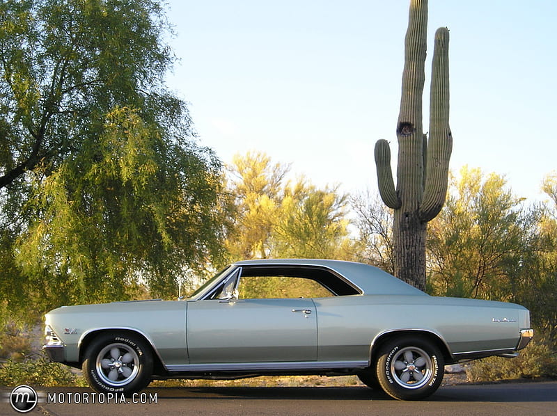 1966 Chevrolet Chevelle SS 396, gm, super sport, 1966, chevelle, chevy, classic, muscle car, HD wallpaper