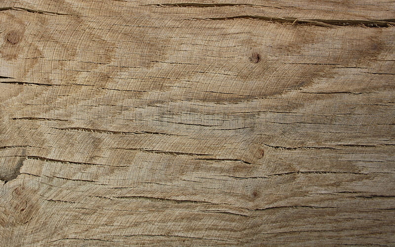 oak texture, light wooden texture, light oak background, wooden backgrounds, HD wallpaper