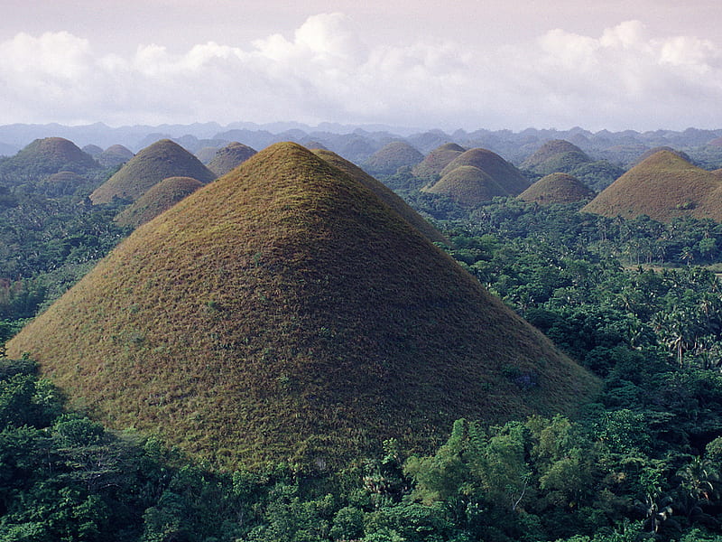 Bohol Chocolate Hills, hills, formation, chocolate, nature, trees, natural, HD wallpaper