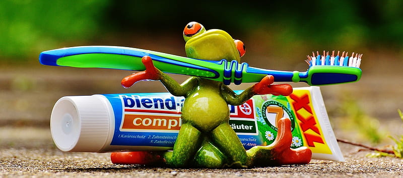 WEIGHTLIFTING, FROG TOOTHBRUSH, ABSTRACT, HD wallpaper
