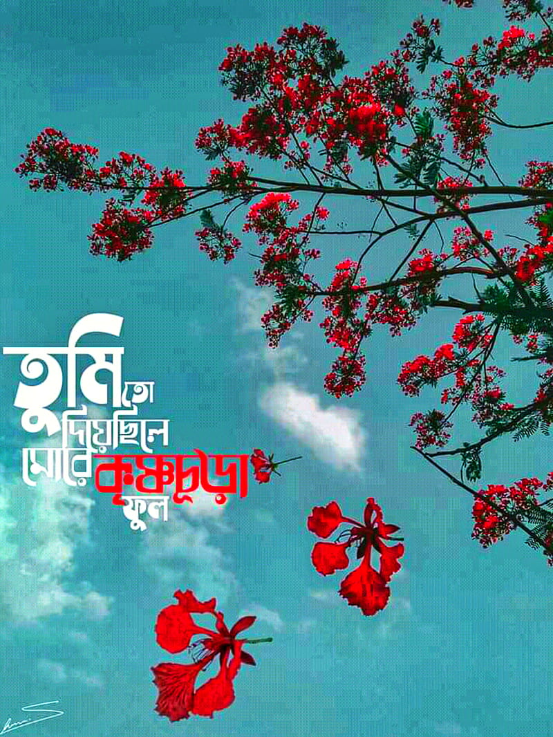 Bangla lyric, bangla, bangladesh, depression, emotion, flower, heart touching, love, lyric, quote, HD phone wallpaper