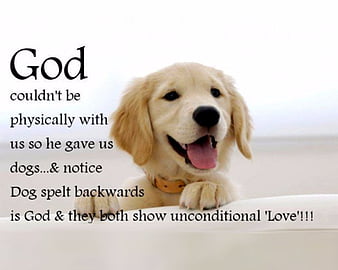 HD god and dog wallpapers | Peakpx