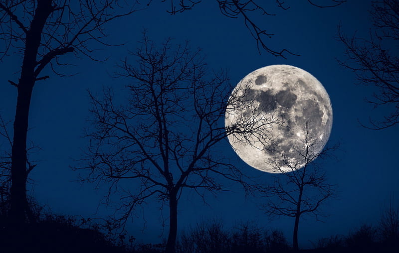 Full Moon, moon, nature, sky, blue, HD wallpaper