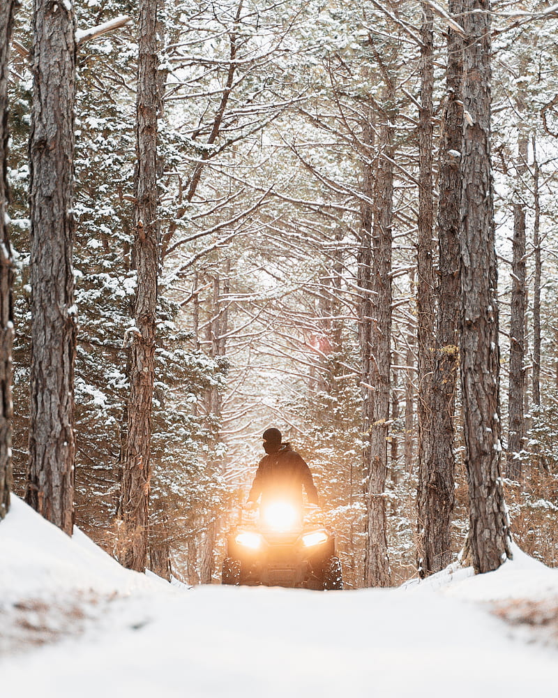 snowmobile, black, man, forest, snow, winter, HD phone wallpaper