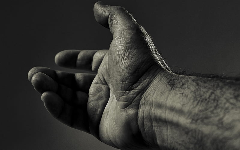 mans hand, hand of help concepts, outstretched hand, man, HD wallpaper