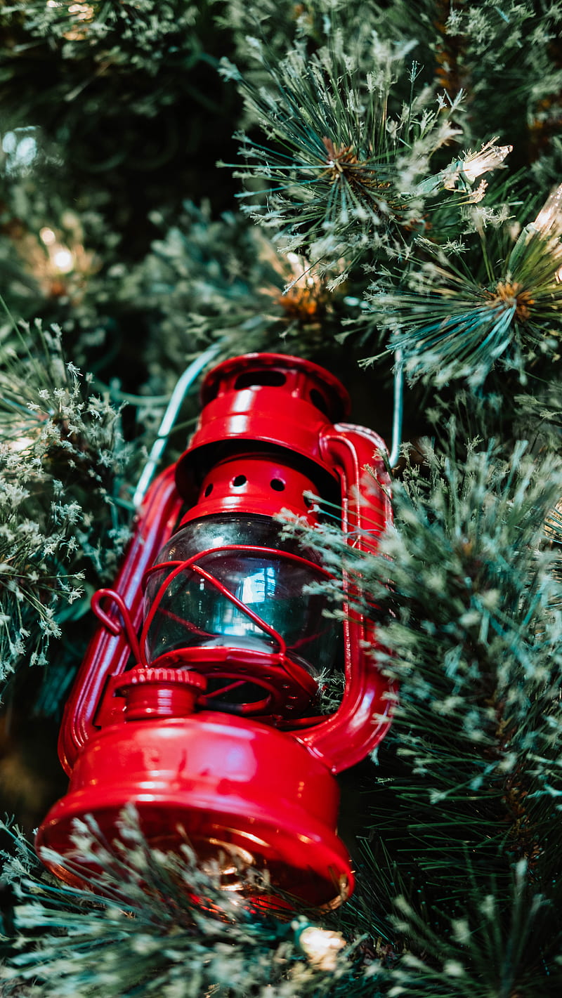 red fire hydrant on snow covered pine tree, HD phone wallpaper