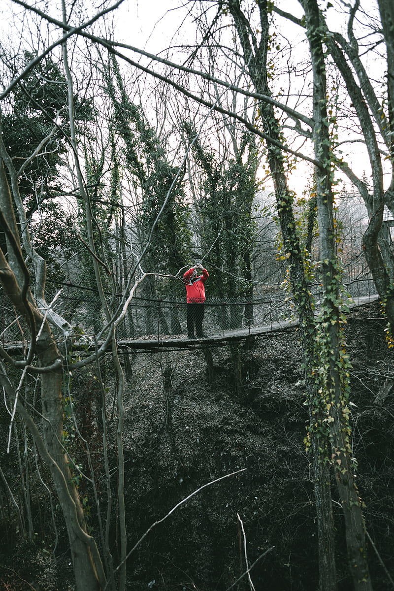 person in red jacket standing on black metal bridge surrounded by trees during daytime, HD phone wallpaper
