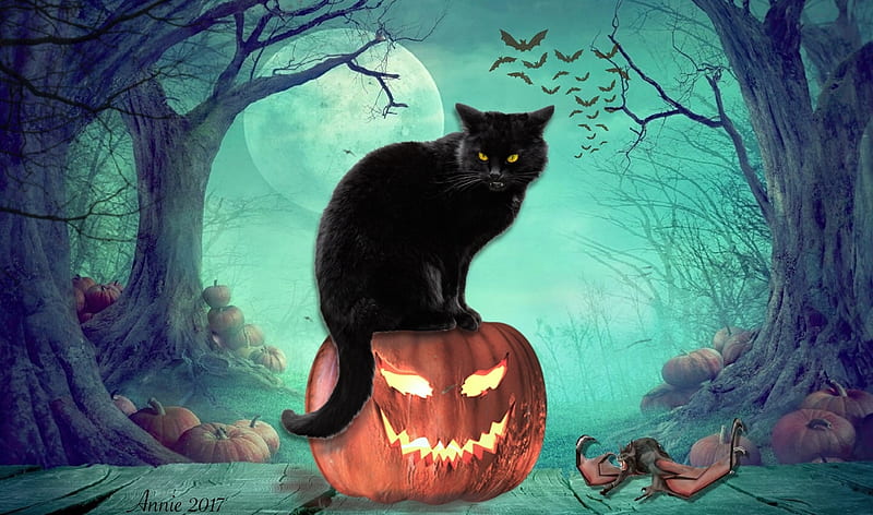 Halloween Cat, autumn, Pumpkin, bats, halloween, cat, Moon, Pumpkins, black cat, digital, HD wallpaper