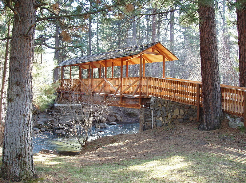 Walking Bridge, wooden bridge, park, wood structure, walkway, bridge, path, trail, beauty, nature, HD wallpaper