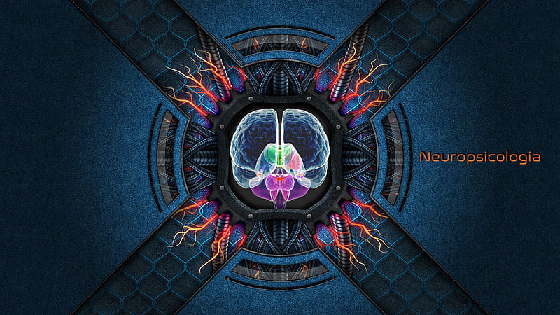 Brain Neuropsychology, HD wallpaper