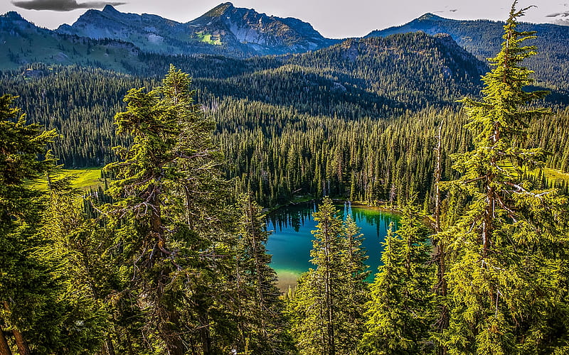 Forest lake, mountains, forest, mountain lake, Mount Rainier National Park, Pearce County, United States, Washington, HD wallpaper