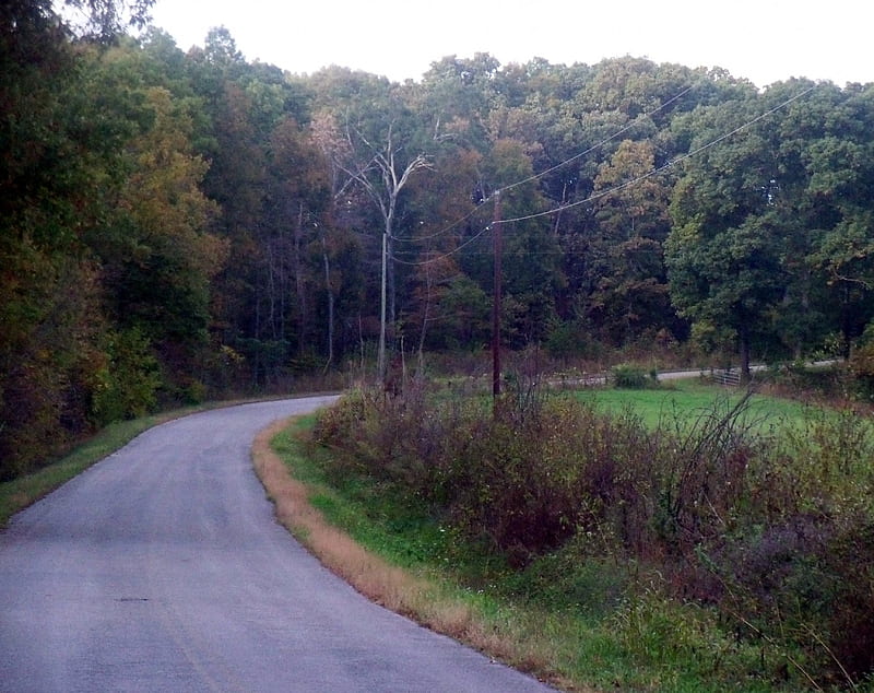 ...Going Around The Curve, Rural, Tennessee, Nature, Road, HD wallpaper