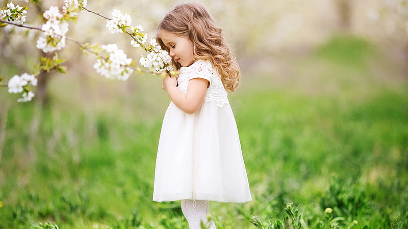 Little Cute Girl Is Smelling Flowers And Wearing White Frock Cute, HD wallpaper