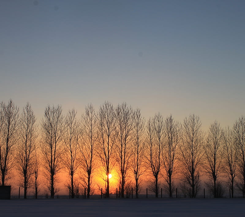 Winter sunset, orange, sky, sun, trees, HD wallpaper Winter sunset, orange, sky, sun, trees, HD wallpaper