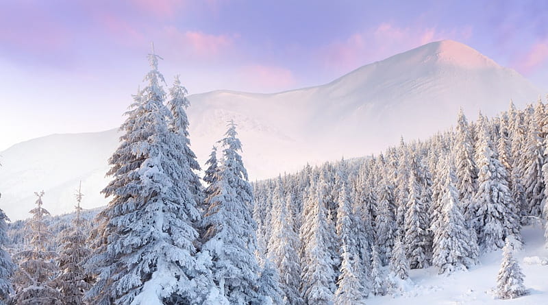 pristine winter landscape, forest, pristine, mountains, clouds, winter, HD wallpaper