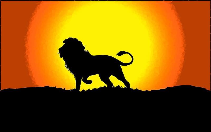 The lion, sun, orange, summer, black, yellow, silhouette, lion, animal, HD wallpaper
