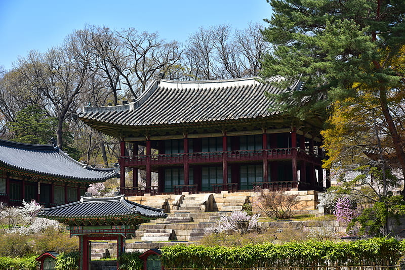 south korea, architecture, traditional buildings, clear sky, Others, HD wallpaper