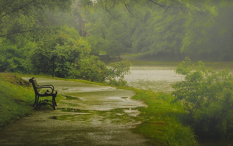 A rainy day at park, rainy day, bench, park, lake, fog, green, haze, footpath, path, nature, rain, moisture, HD wallpaper