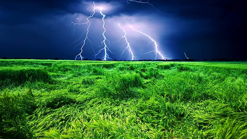 Lightning Storm Over The Wheat Field, wind, thunder, storm, lightning,  nature, HD wallpaper | Peakpx