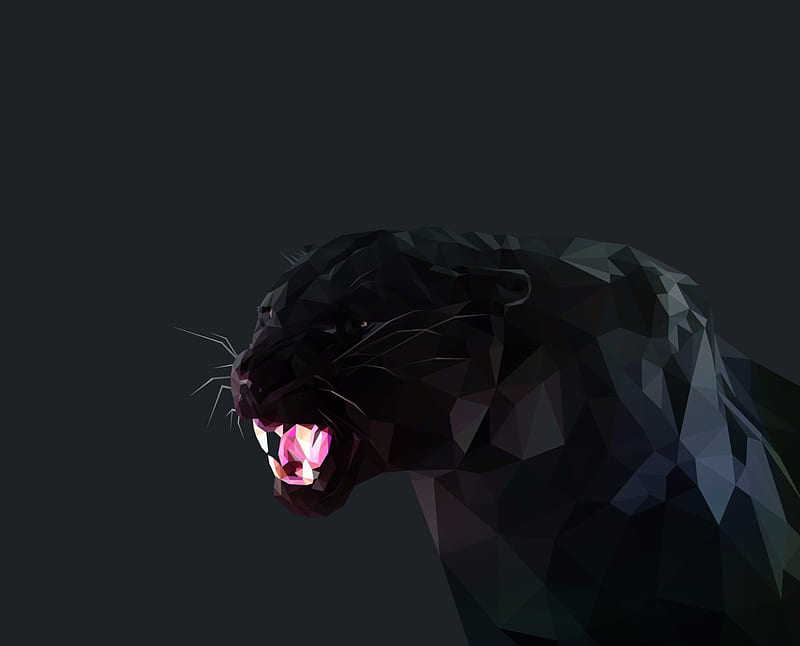 Black Panther, big cats, felines, predators, prowlers, HD wallpaper