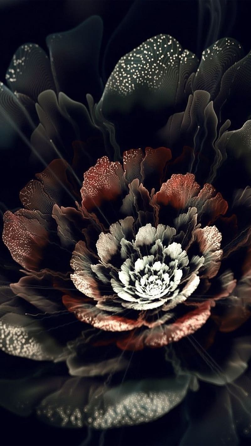 Flores Negras Con Color Atractivo Y Múltiple, flores negras, color  múltiple, Fondo de pantalla de teléfono HD | Peakpx