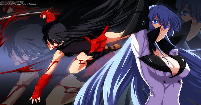 Anime, Akame (Akame Ga Kill!), Akame Ga Kill!, Esdeath (Akame Ga Kill!), HD wallpaper