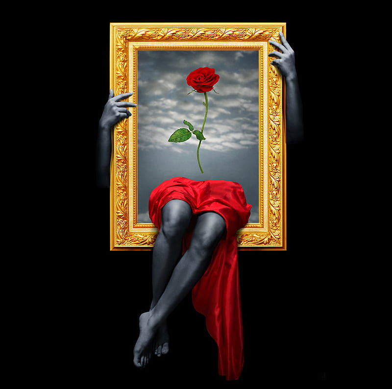 Framed, red, gold, legs, girl, rose, frame, flower, women, HD wallpaper