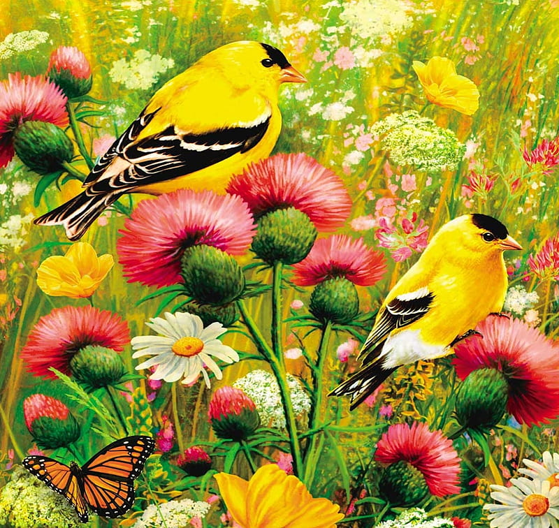 Goldfinches in Flowers, butterfly, painting, blossoms, colors, garden ...