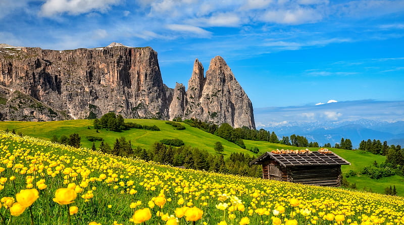 South Tyrol, spring, meadow, freshness, hut, grass, view, greenery, Italy, bonito, south, mountain, Tyrol, wildflowers, dolomites, HD wallpaper