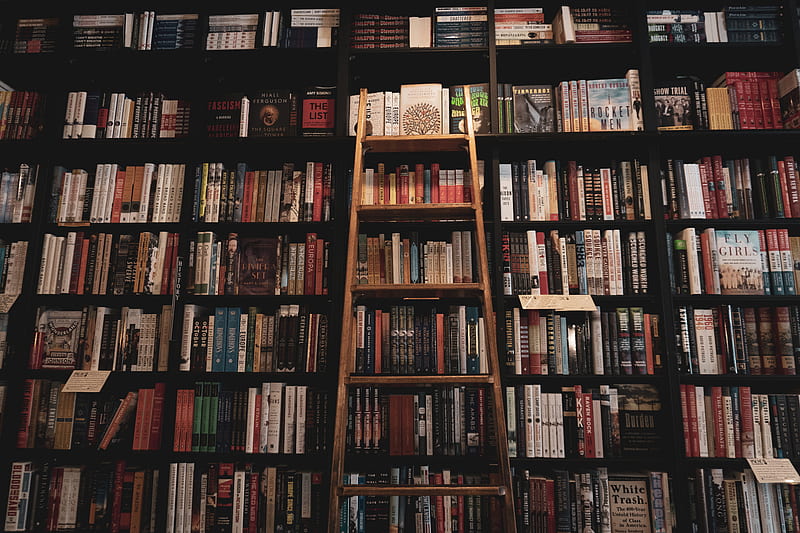 brown wooden ladder leaning of bookshelf, HD wallpaper