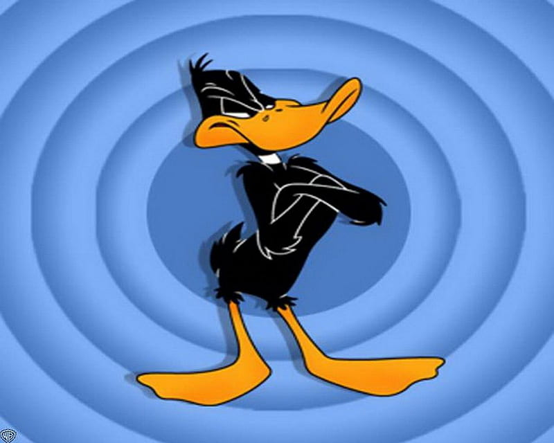Daffy Duck, cartoons, loony tunes, HD wallpaper