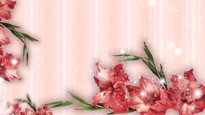 Happy Glads, glow, bright, summer, flowers, spring, pink, sparkles, gladiola, HD wallpaper
